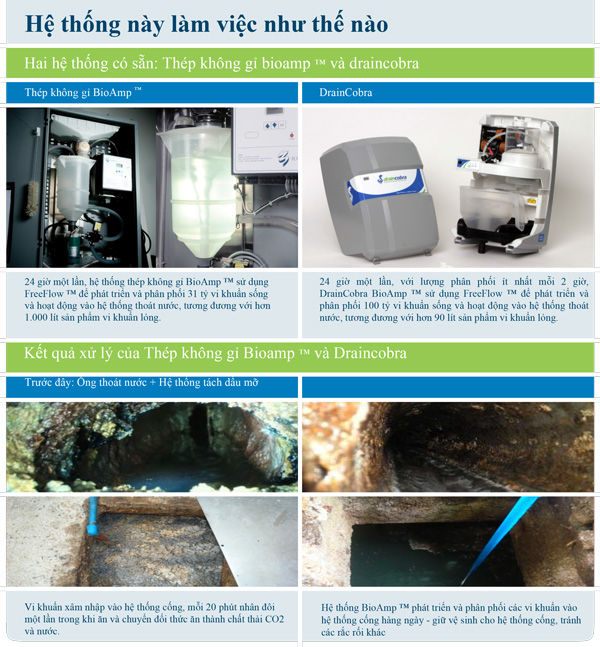 BioAmp - Xử Lý Hệ Thống Nước Thải